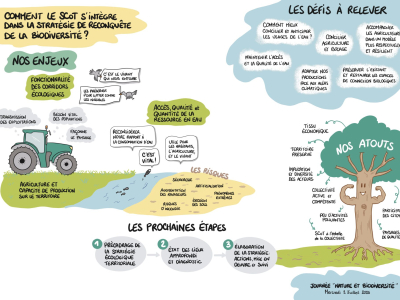 Illustration Fresque Nature et Biodiversité Coëvrons - Nathalie Bernard